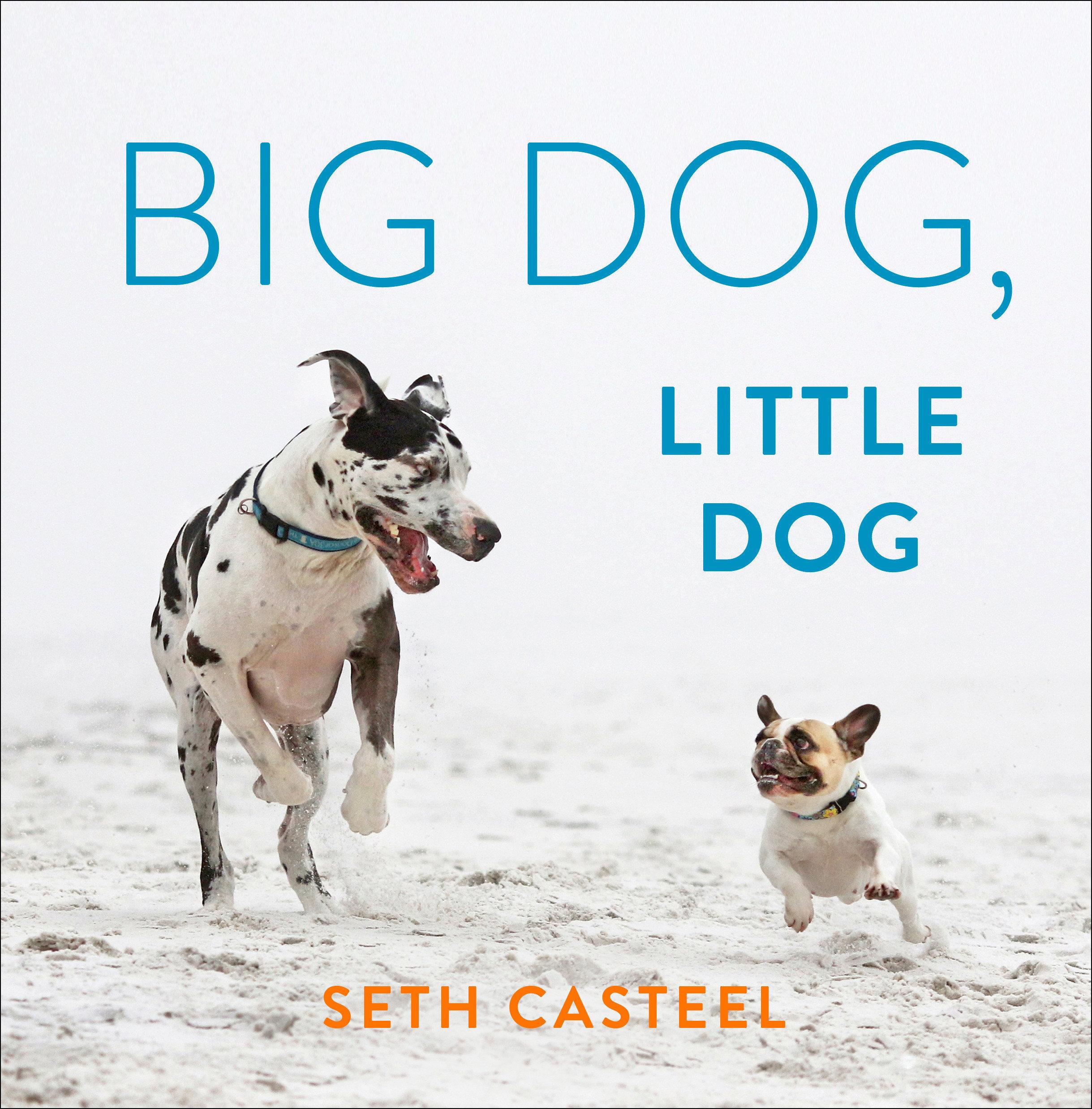 Vorderes Coverbild Big Dog, Little Dog
