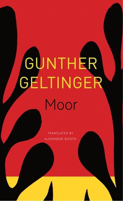 Vorderes Coverbild Moor