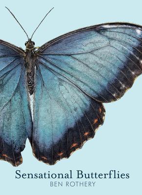 Vorderes Coverbild Sensational Butterflies