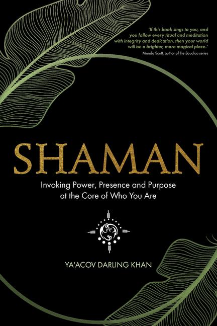 Vorderes Coverbild Shaman