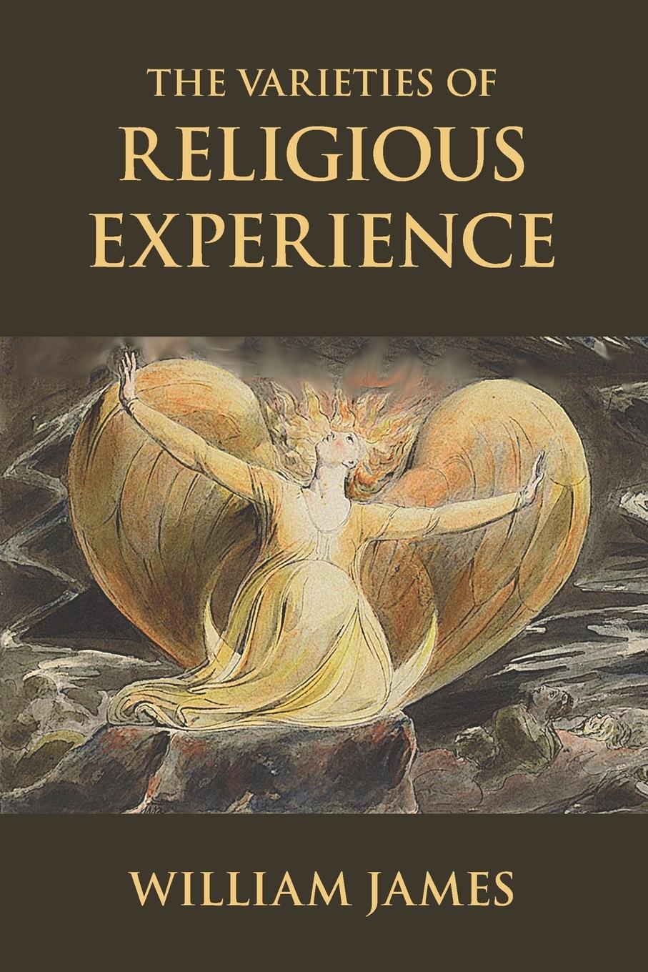 Vorderes Coverbild The Varieties of Religious Experience: A Study in Human Nature