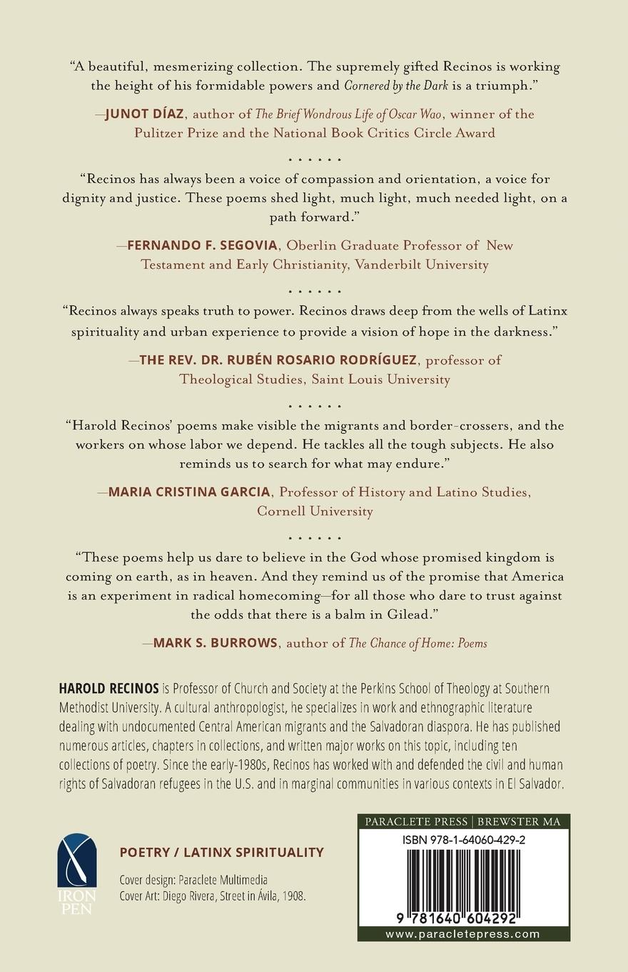 Rückseitencover Cornered by the Dark