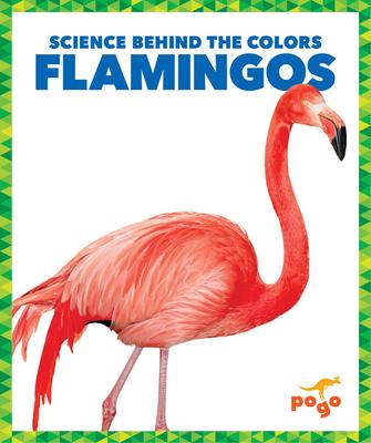 Vorderes Coverbild Flamingos