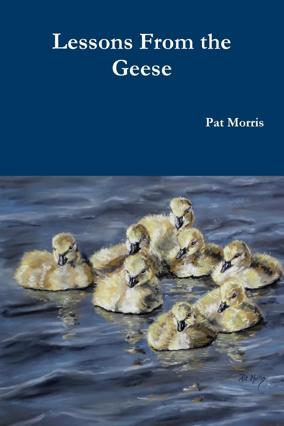 Vorderes Coverbild Lessons From the Geese