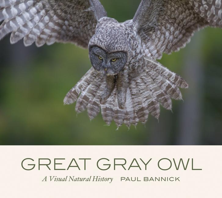 Vorderes Coverbild Great Gray Owl