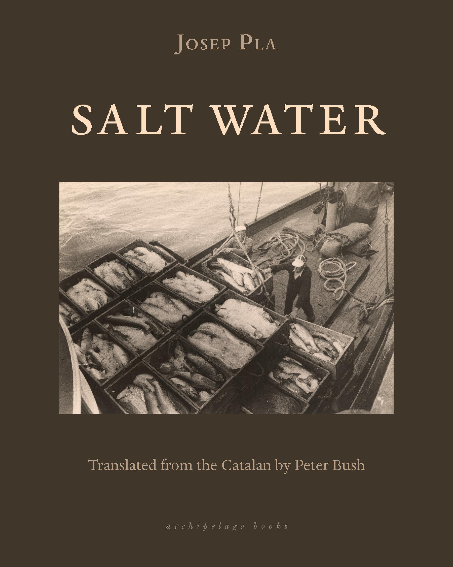Vorderes Coverbild Salt Water