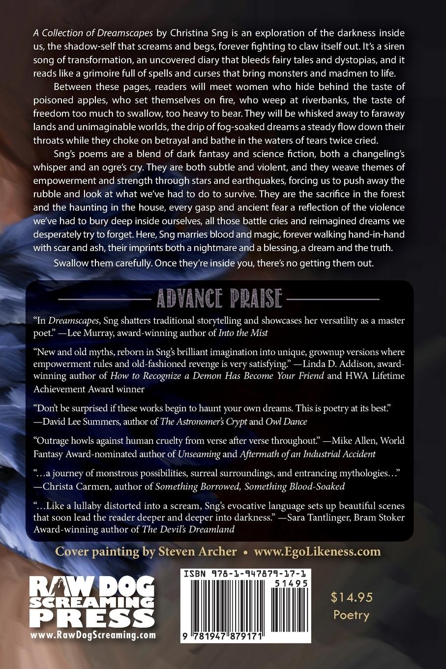 Rückseitencover A Collection of Dreamscapes