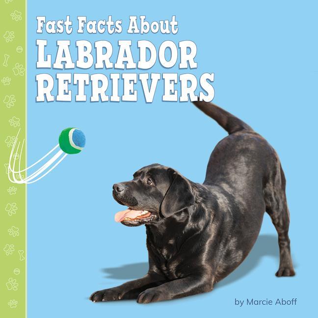 Vorderes Coverbild Fast Facts about Labrador Retrievers