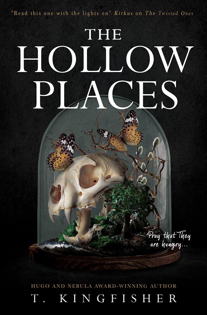 Vorderes Coverbild The Hollow Places