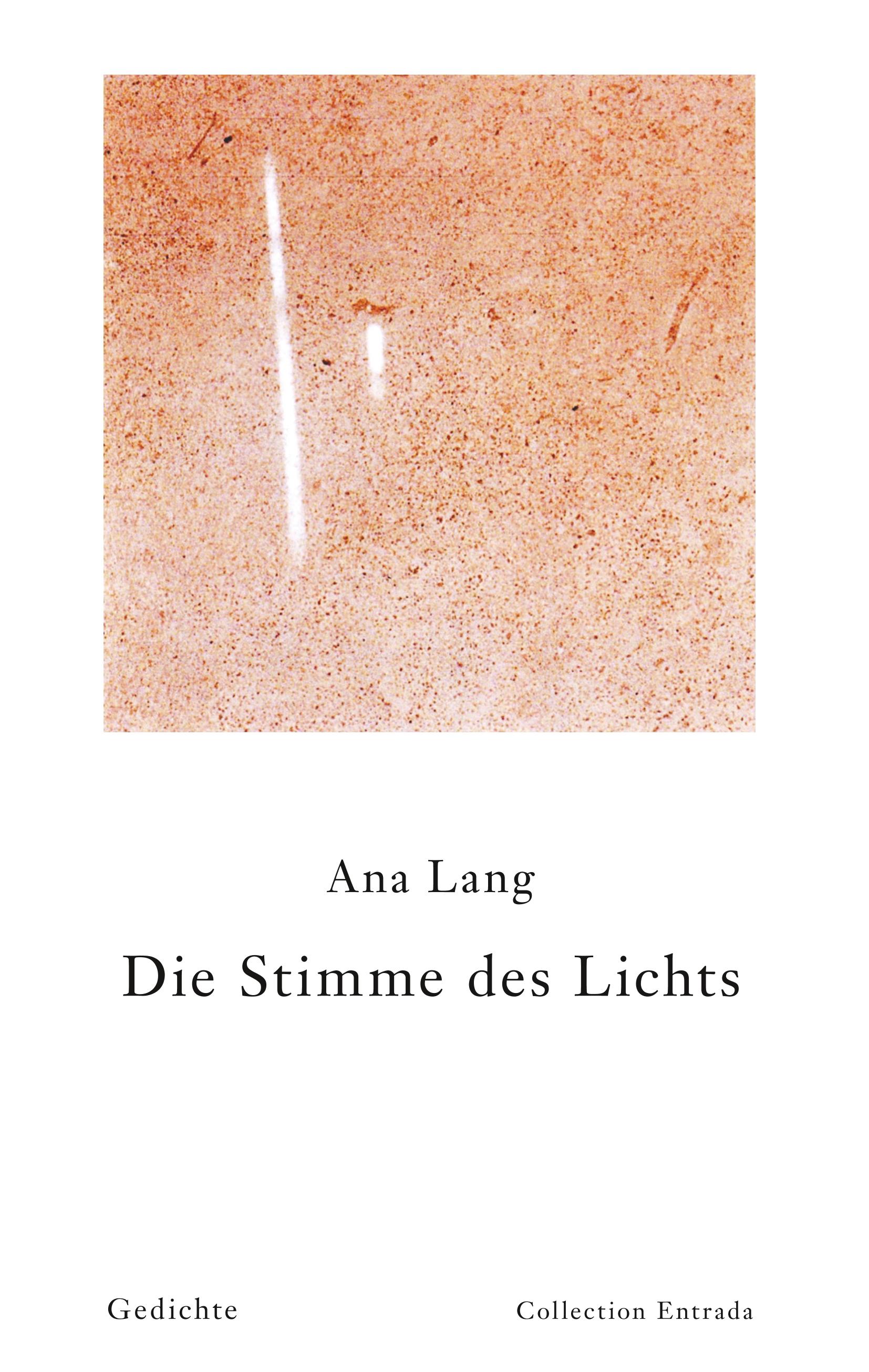 Vorderes Coverbild Die Stimme der Zeit