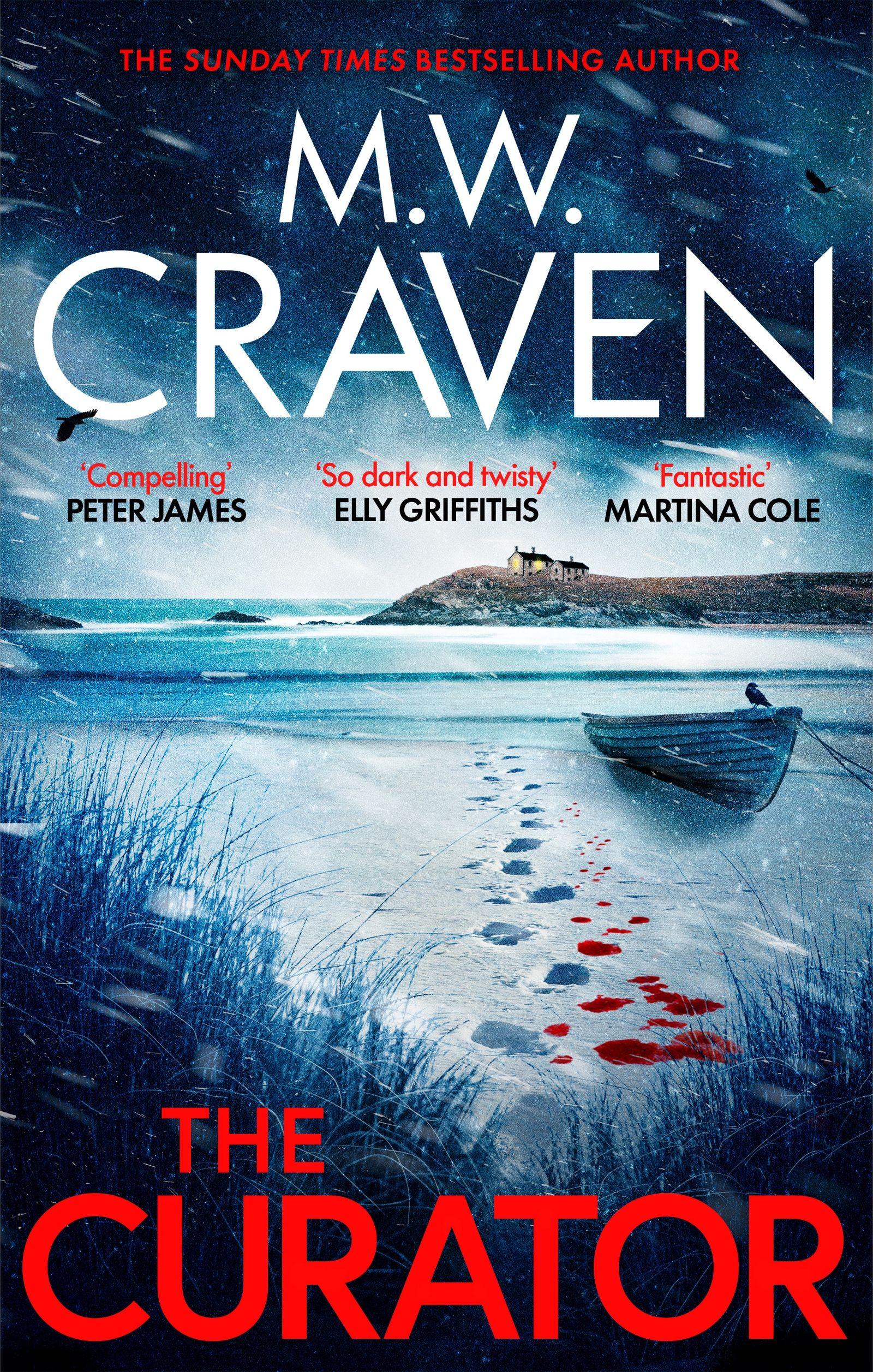 Vorderes Coverbild The Curator