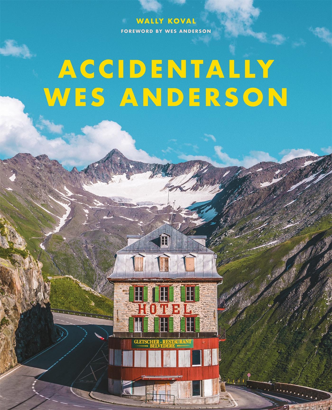Vorderes Coverbild Accidentally Wes Anderson