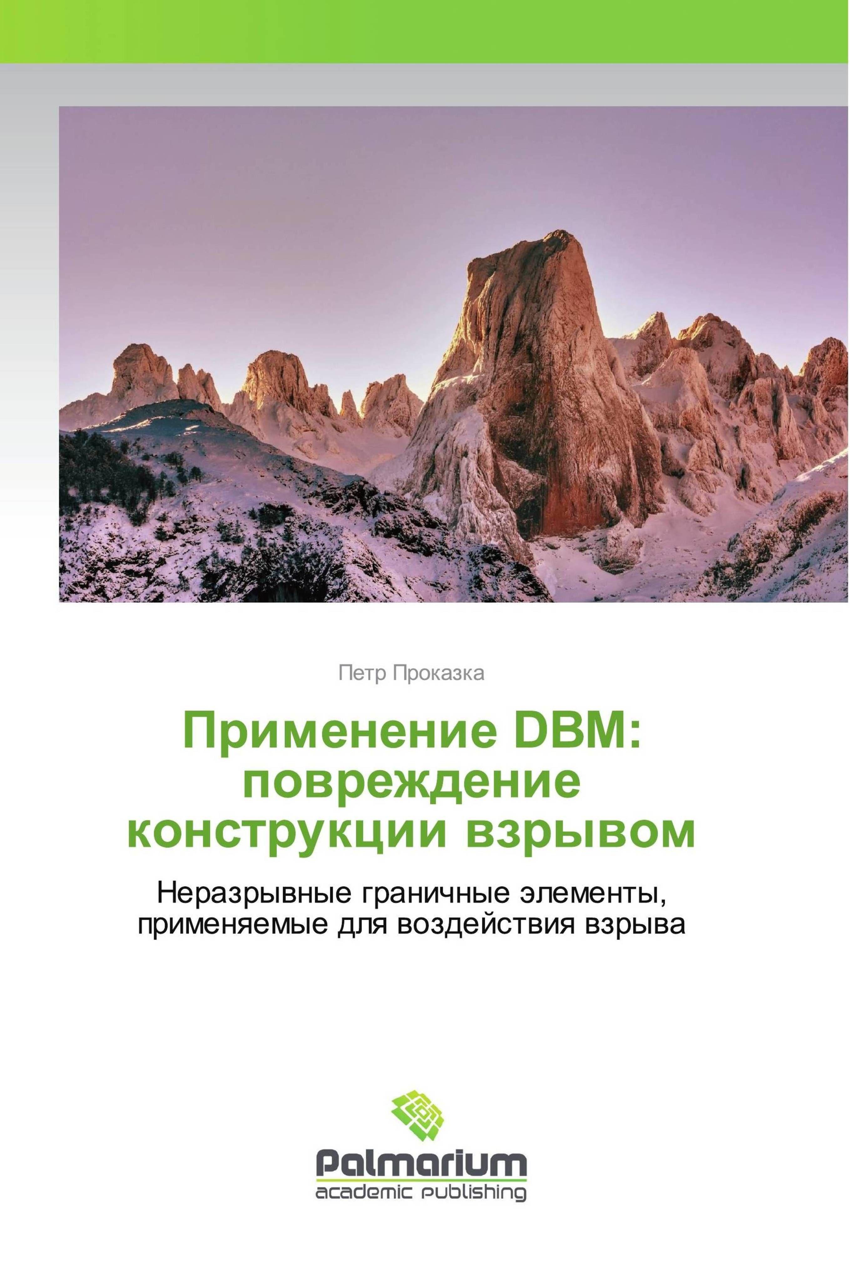 Vorderes Coverbild Primenenie DBM: powrezhdenie konstrukcii wzrywom