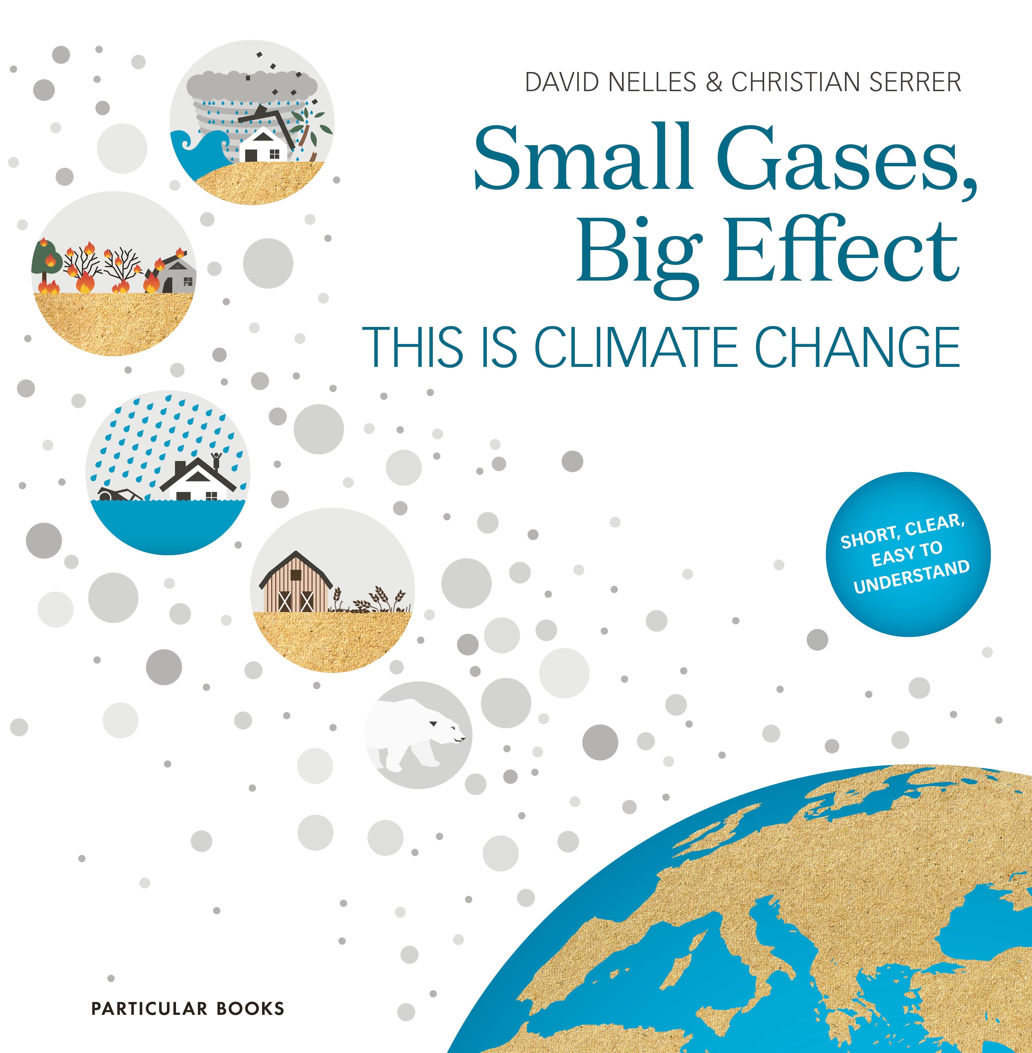 Vorderes Coverbild Small Gases, Big Effect