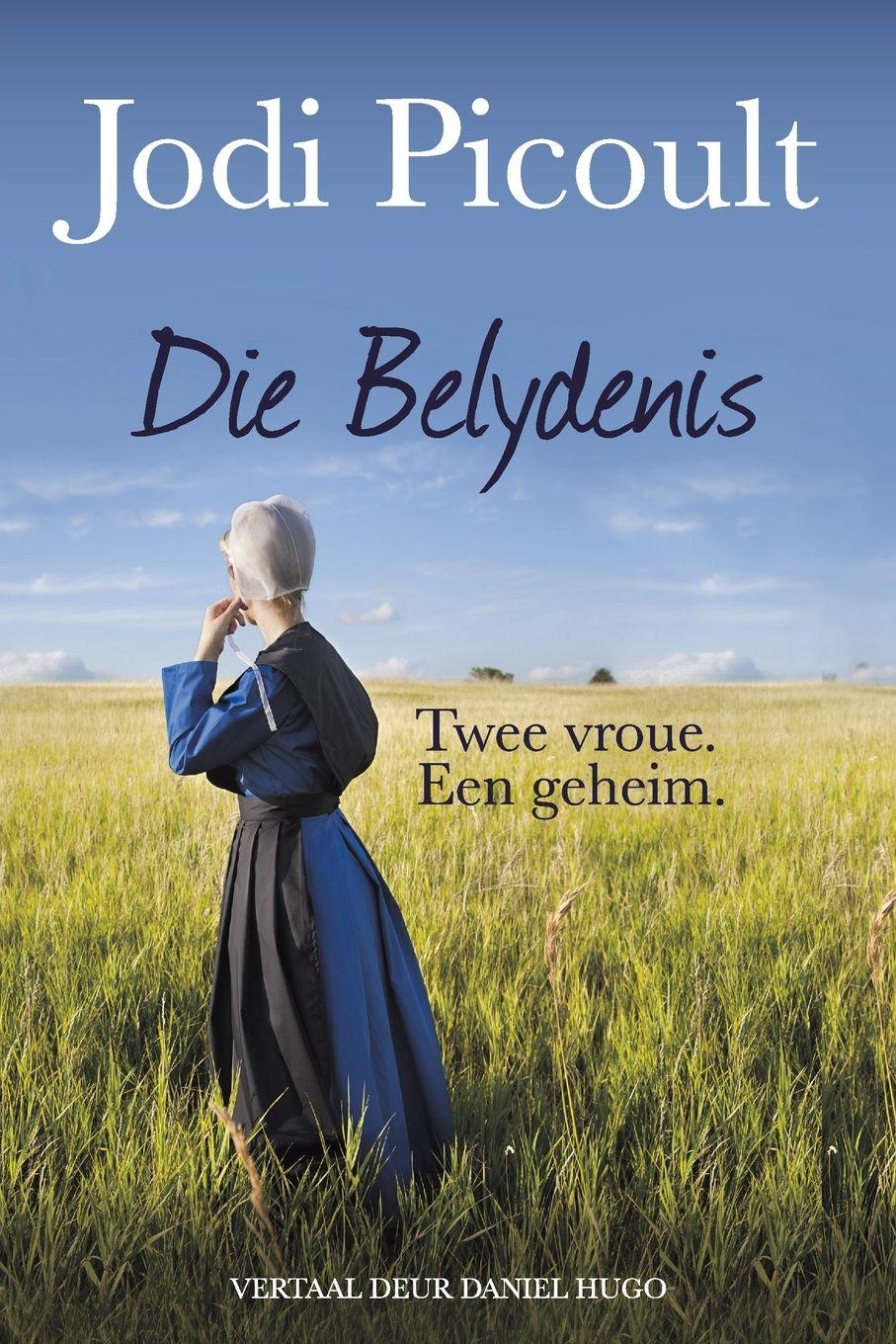 Vorderes Coverbild DIE BELYDENIS