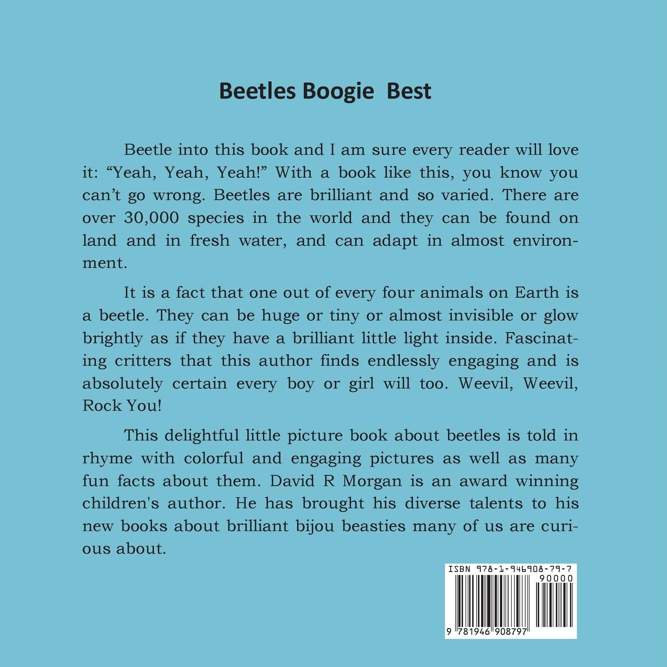 Rückseitencover Beetles Boogie Best