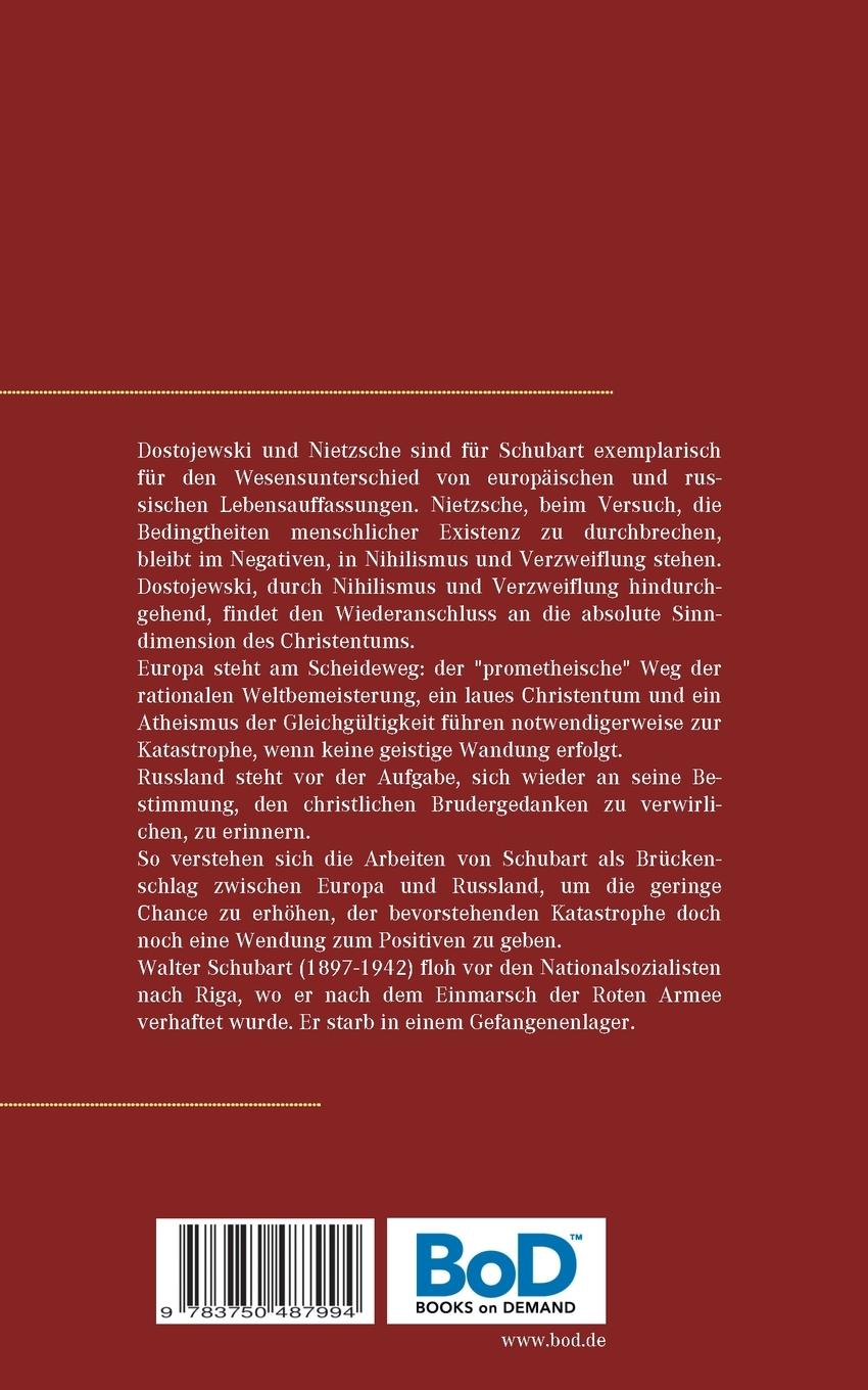 Rückseitencover Dostojewski und Nietzsche