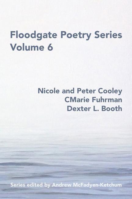 Vorderes Coverbild Floodgate Series Volume 6