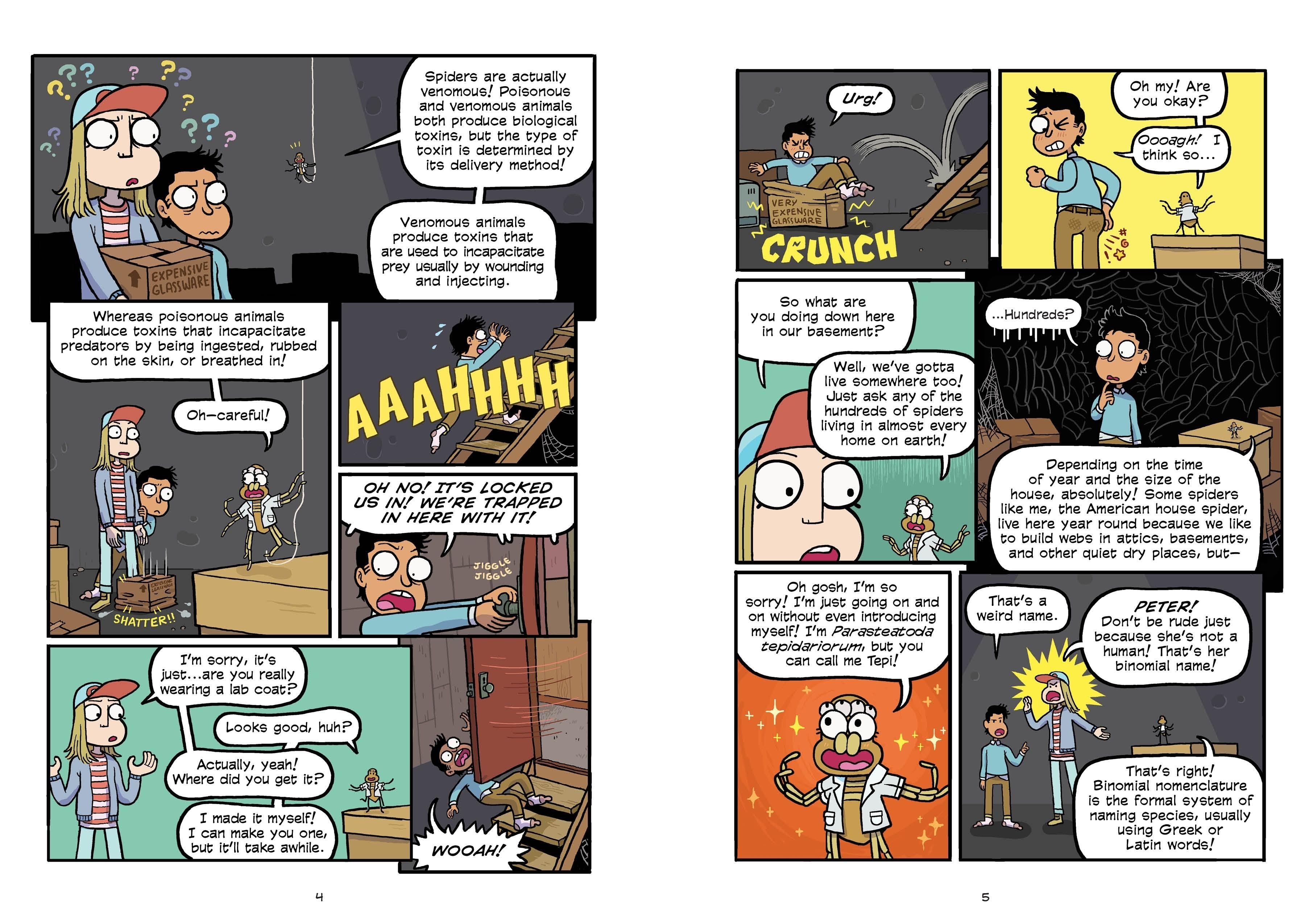 Beispielinhalt (Bild) Science Comics: Spiders