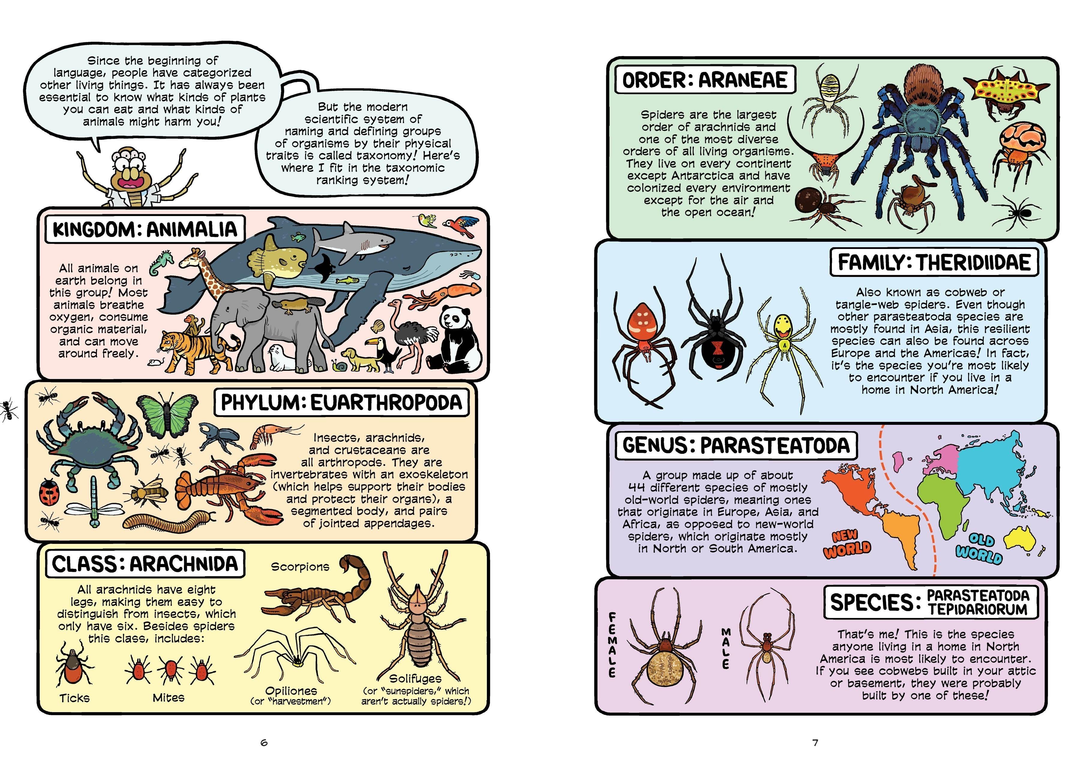 Beispielinhalt (Bild) Science Comics: Spiders