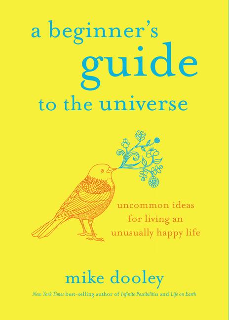 Vorderes Coverbild A Beginner's Guide to the Universe