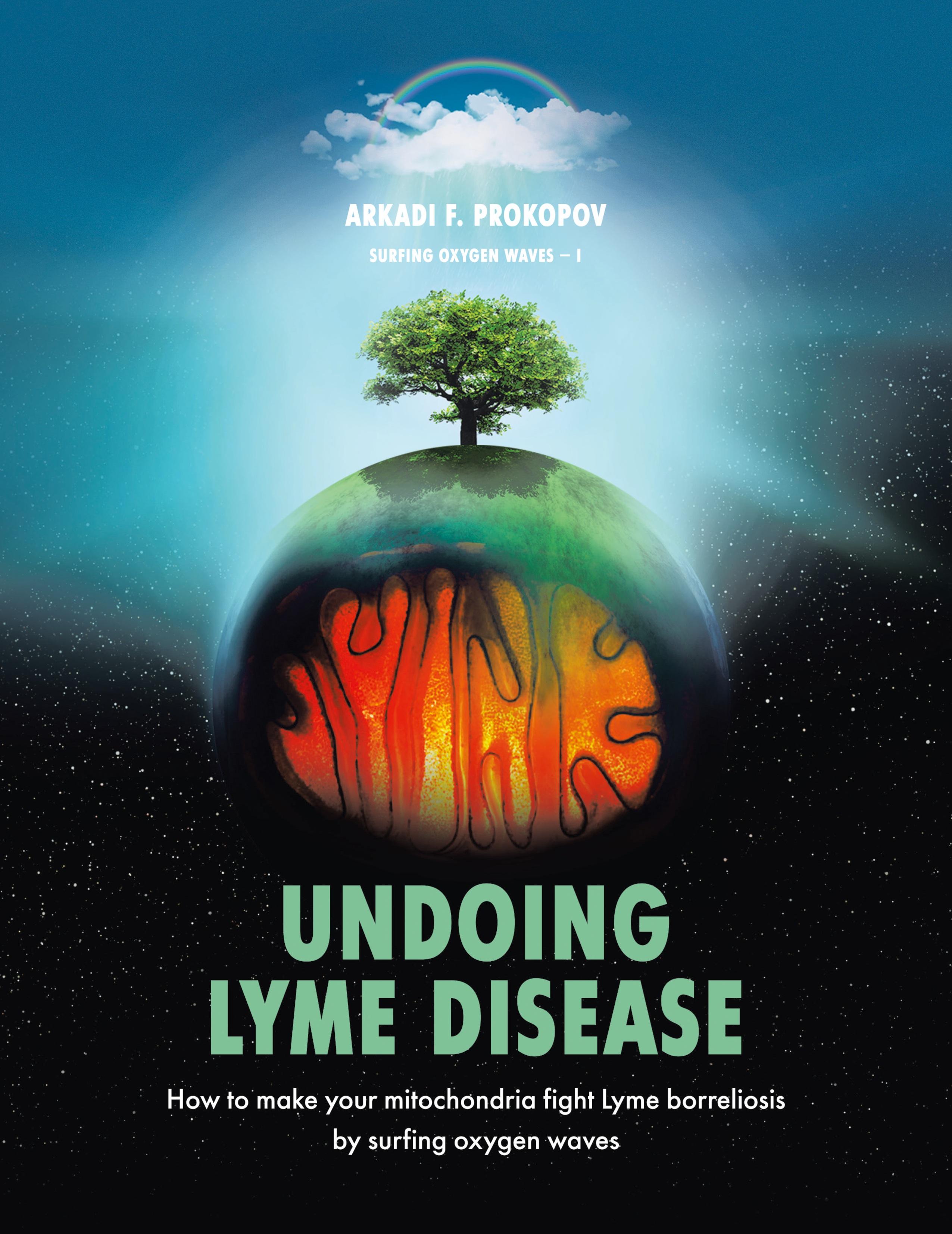 Vorderes Coverbild Undoing Lyme Disease