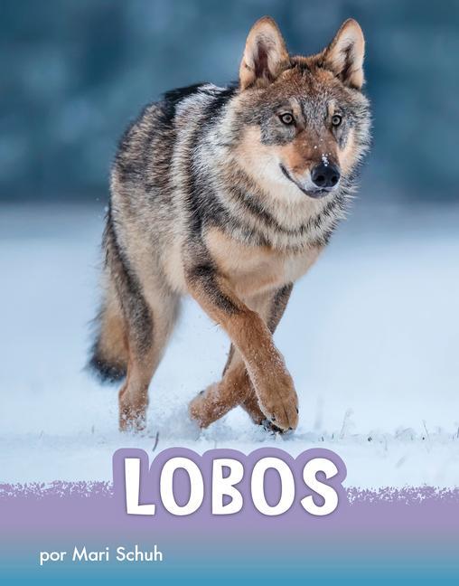 Vorderes Coverbild Lobos
