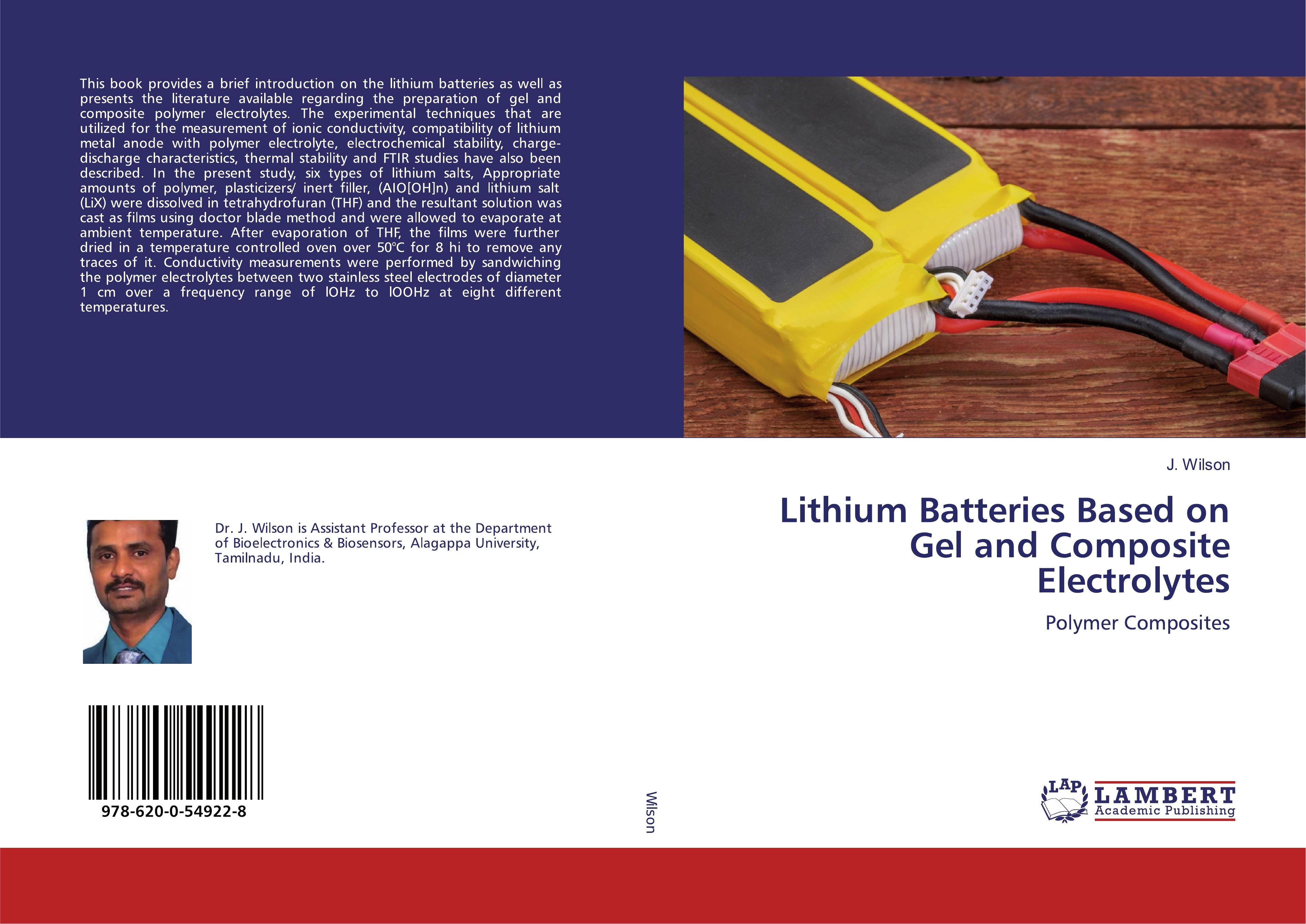 Vorderes Coverbild Lithium Batteries Based on Gel and Composite Electrolytes