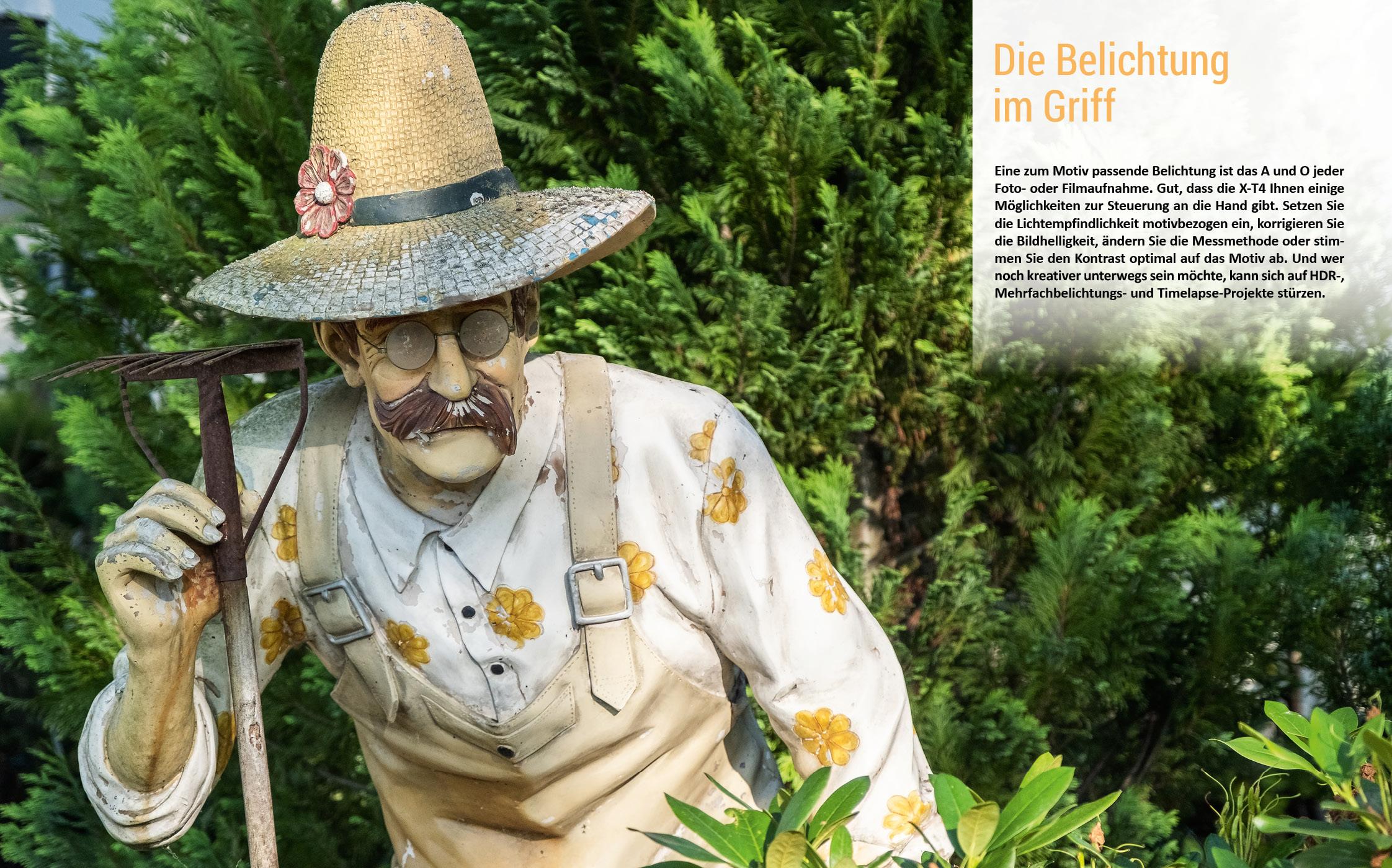 Beispielinhalt (Bild) Fujifilm X-T4