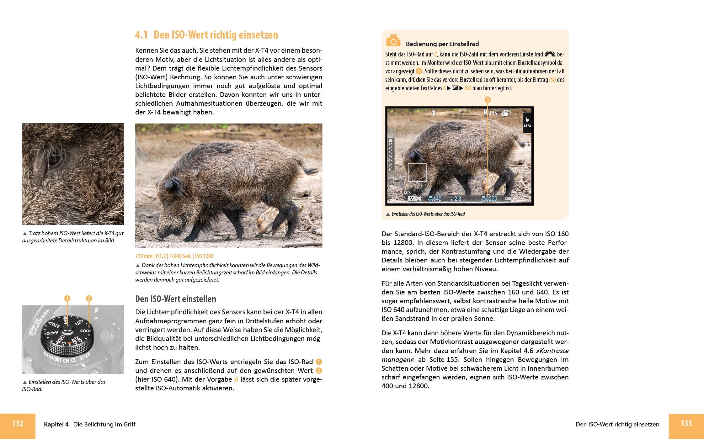 Beispielinhalt (Bild) Fujifilm X-T4