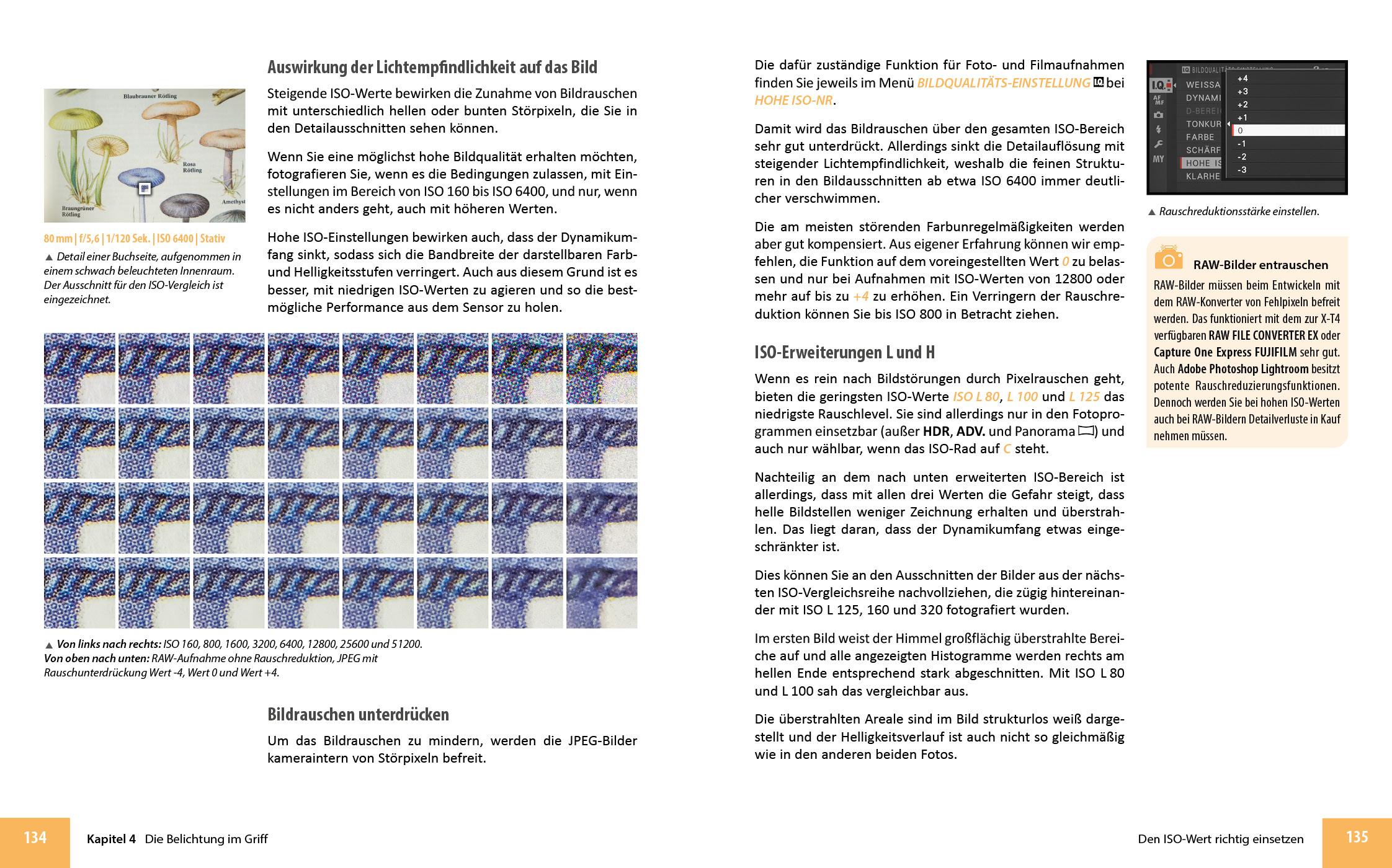 Beispielinhalt (Bild) Fujifilm X-T4