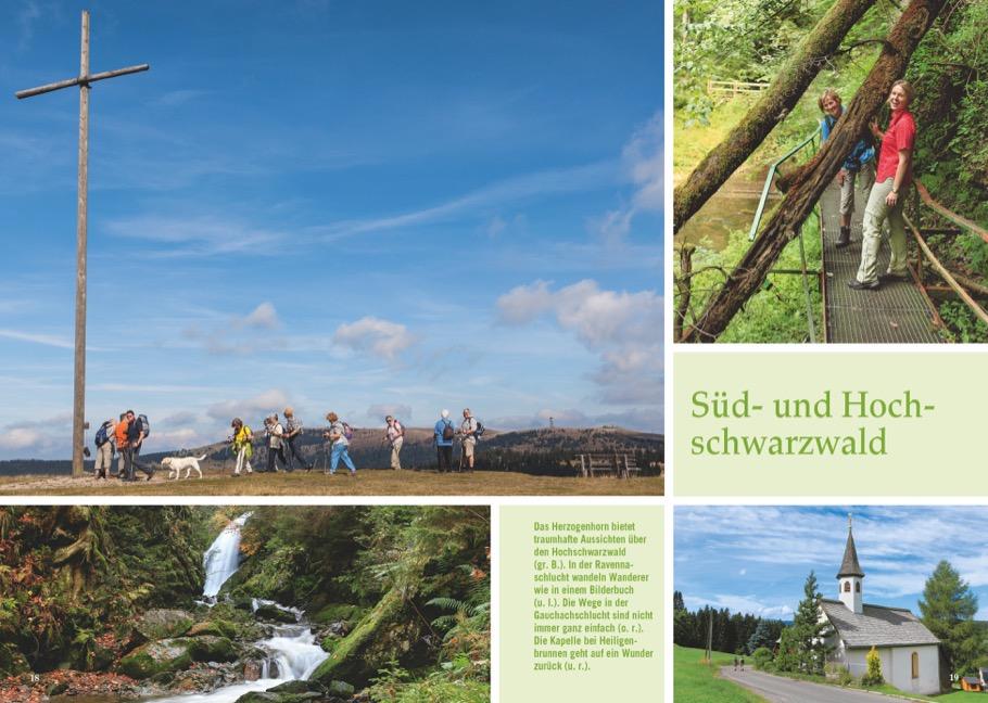 Beispielinhalt (Bild) Mystische Pfade Schwarzwald