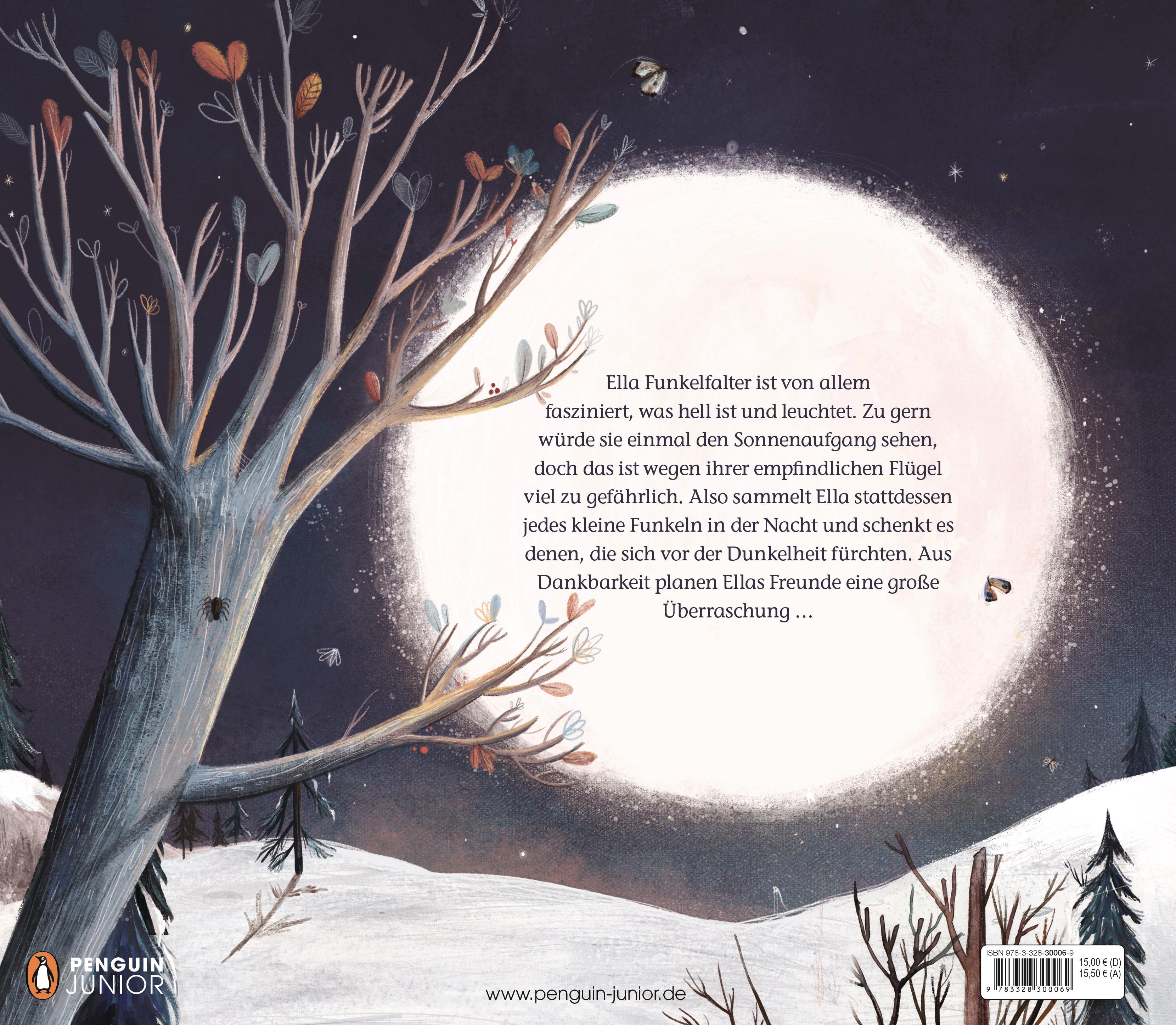 Beispielinhalt (Bild) Ella und der Funkelzauber