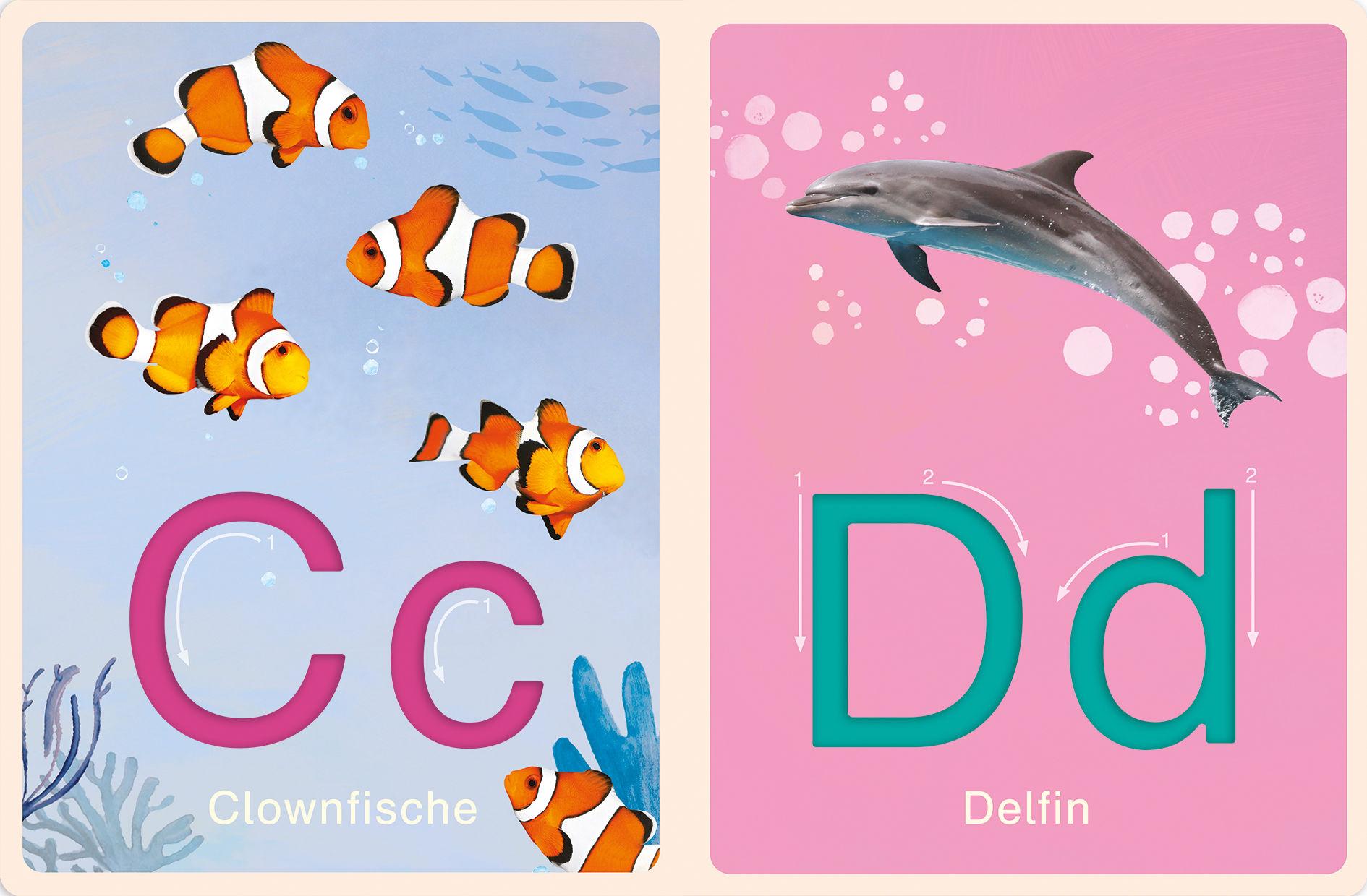 Beispielinhalt (Bild) Deine-meine-unsere Welt - Mein Abc der Natur