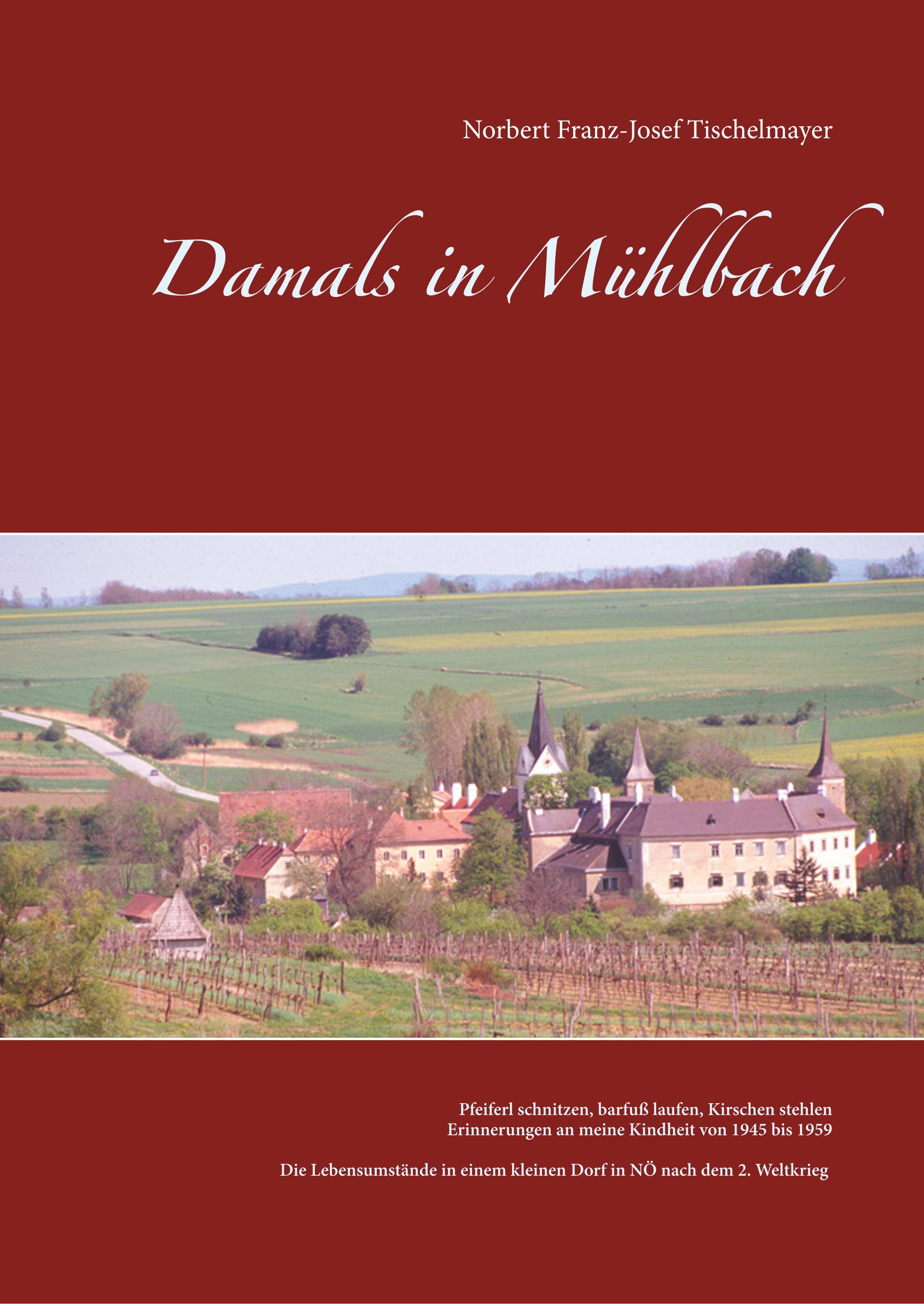 Vorderes Coverbild Damals in Mühlbach