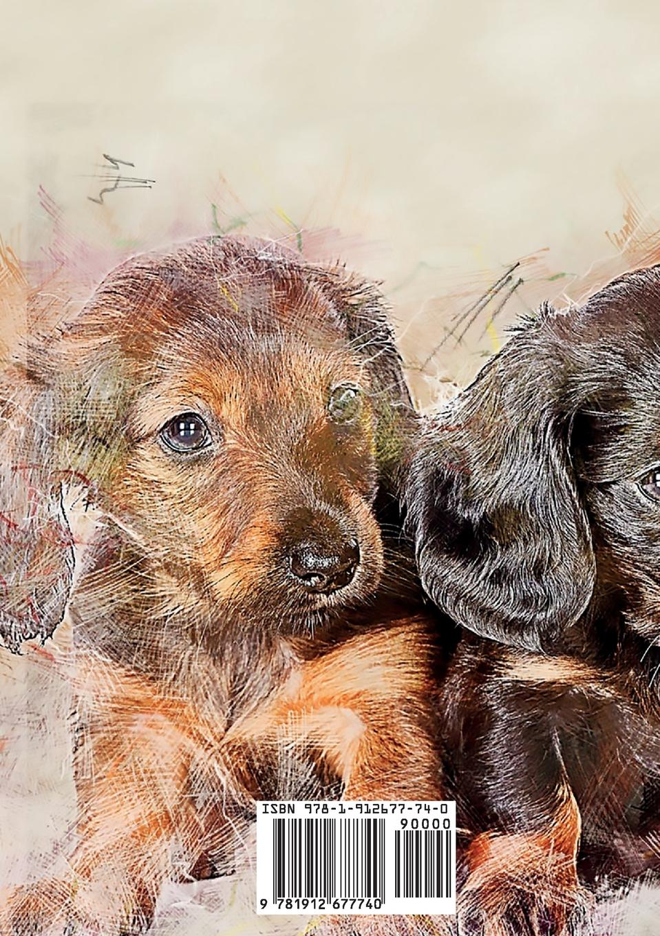 Rückseitencover Who doesn't like a nice sausage dog?