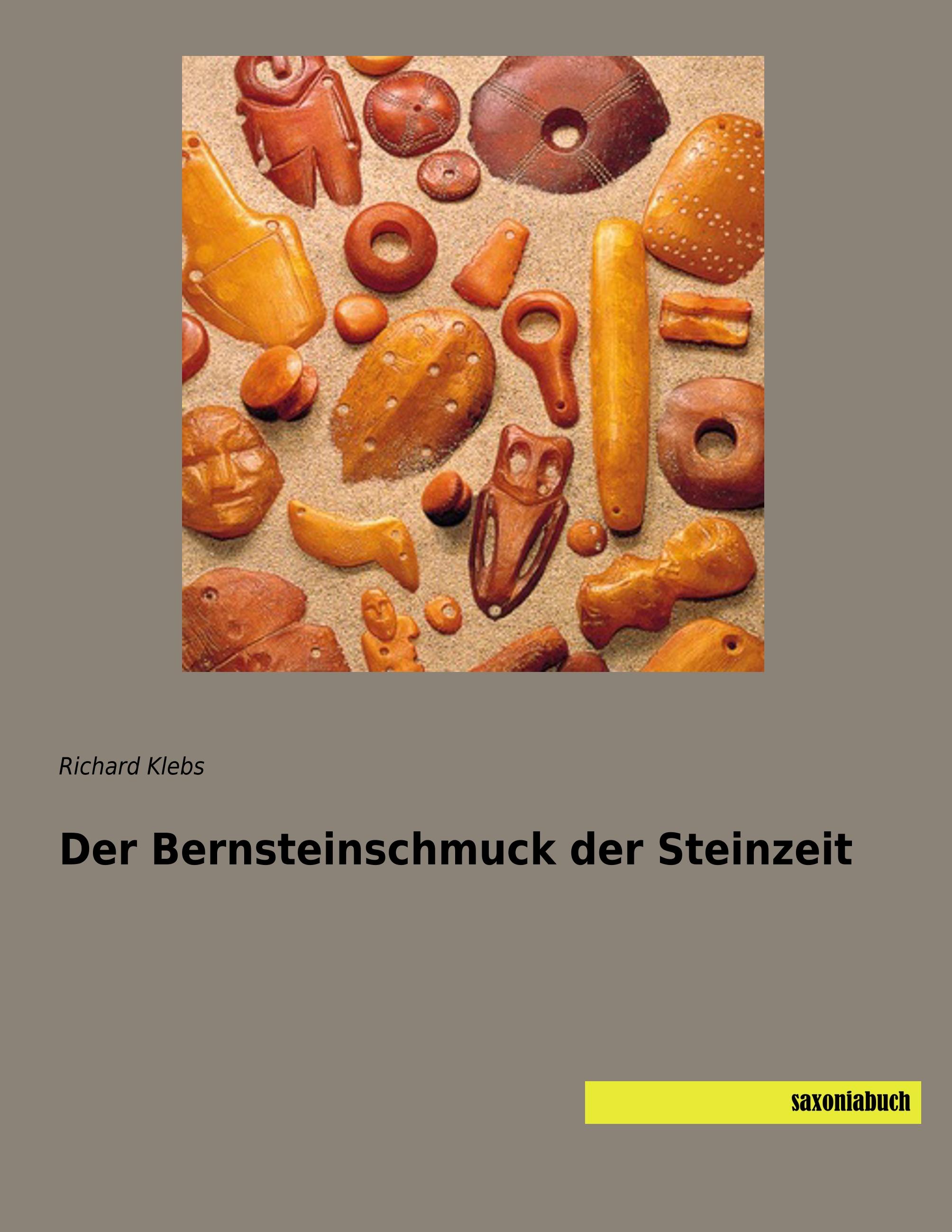 Vorderes Coverbild Der Bernsteinschmuck der Steinzeit