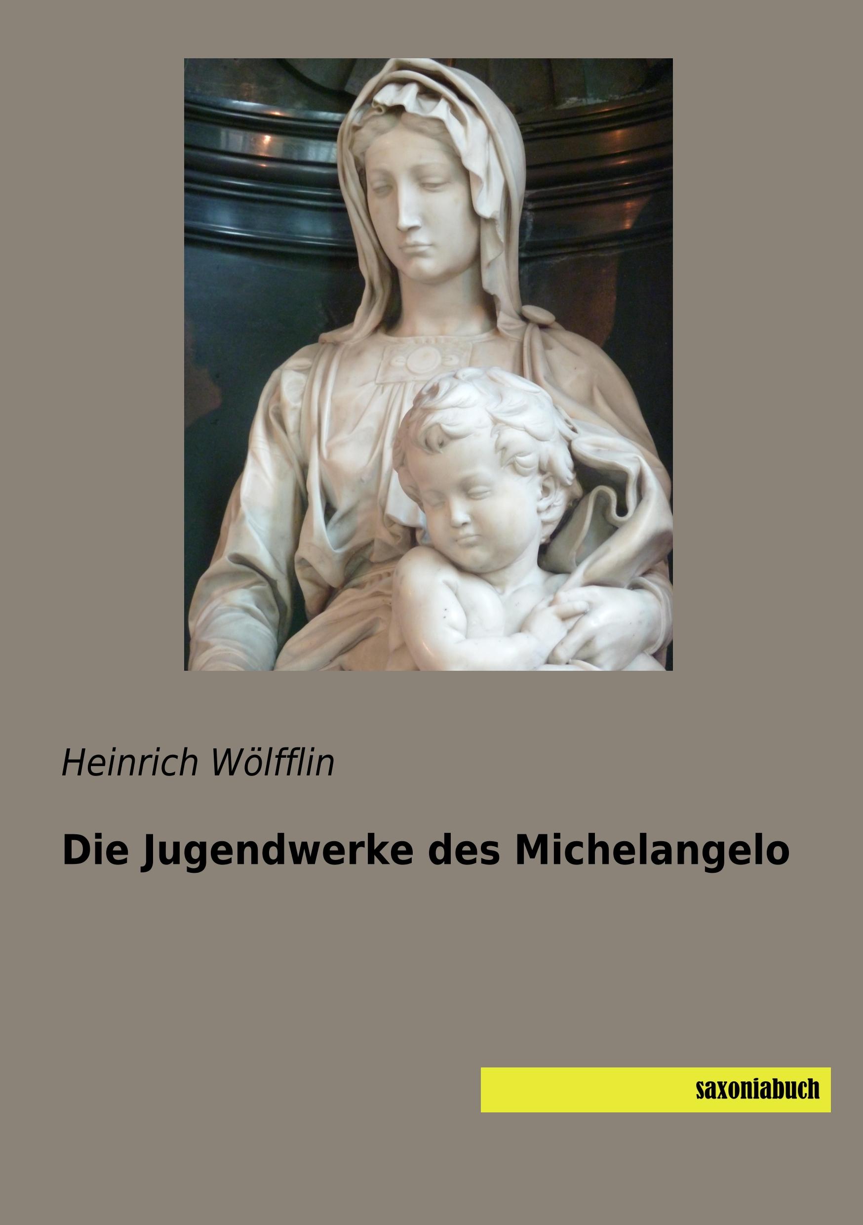 Vorderes Coverbild Die Jugendwerke des Michelangelo