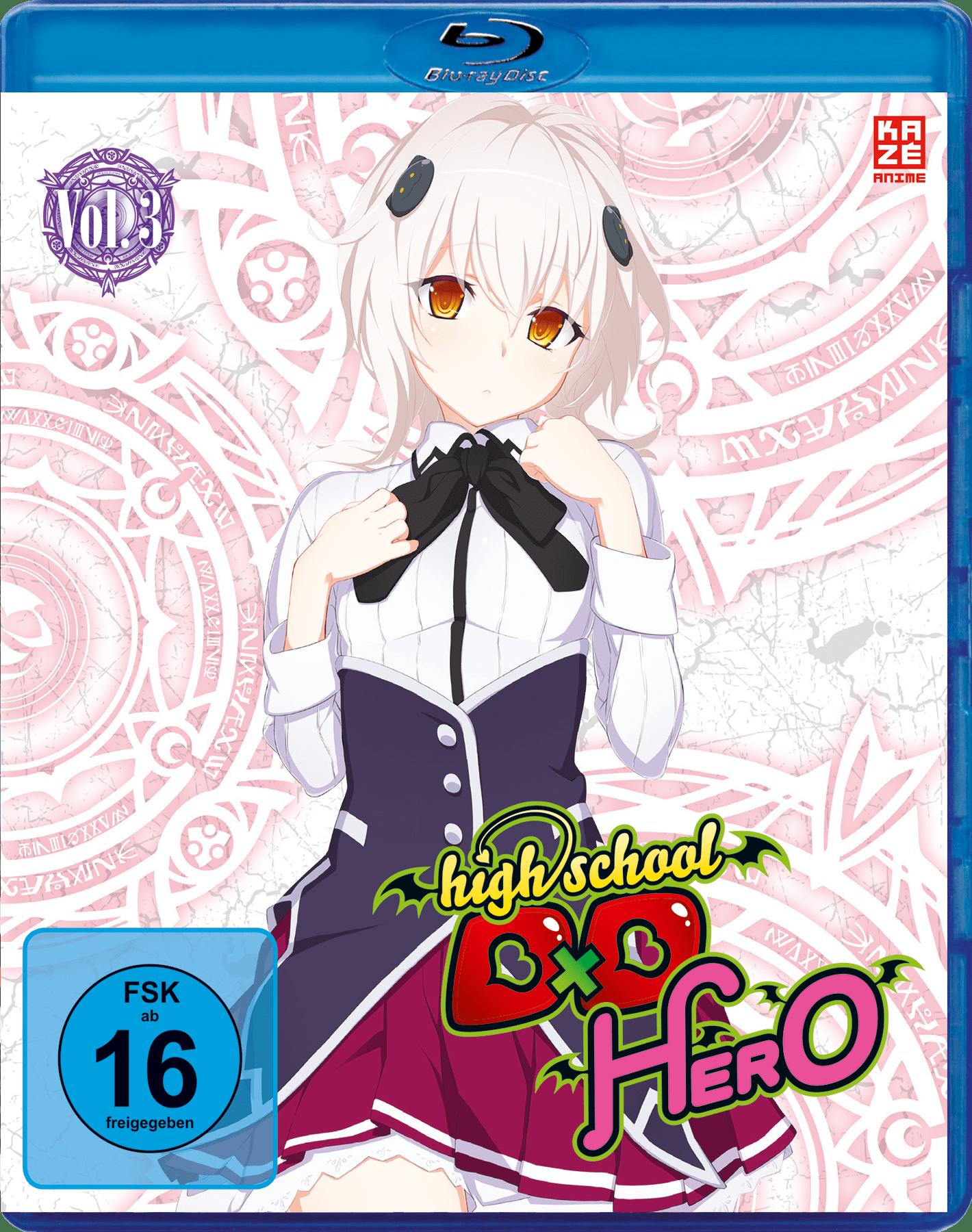 Vorderes Coverbild High School DxD Hero