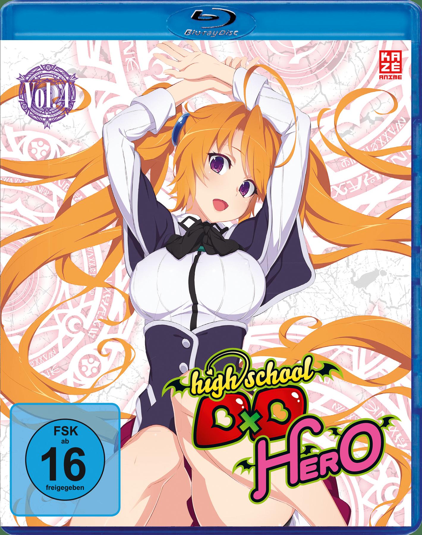 Vorderes Coverbild High School DxD Hero