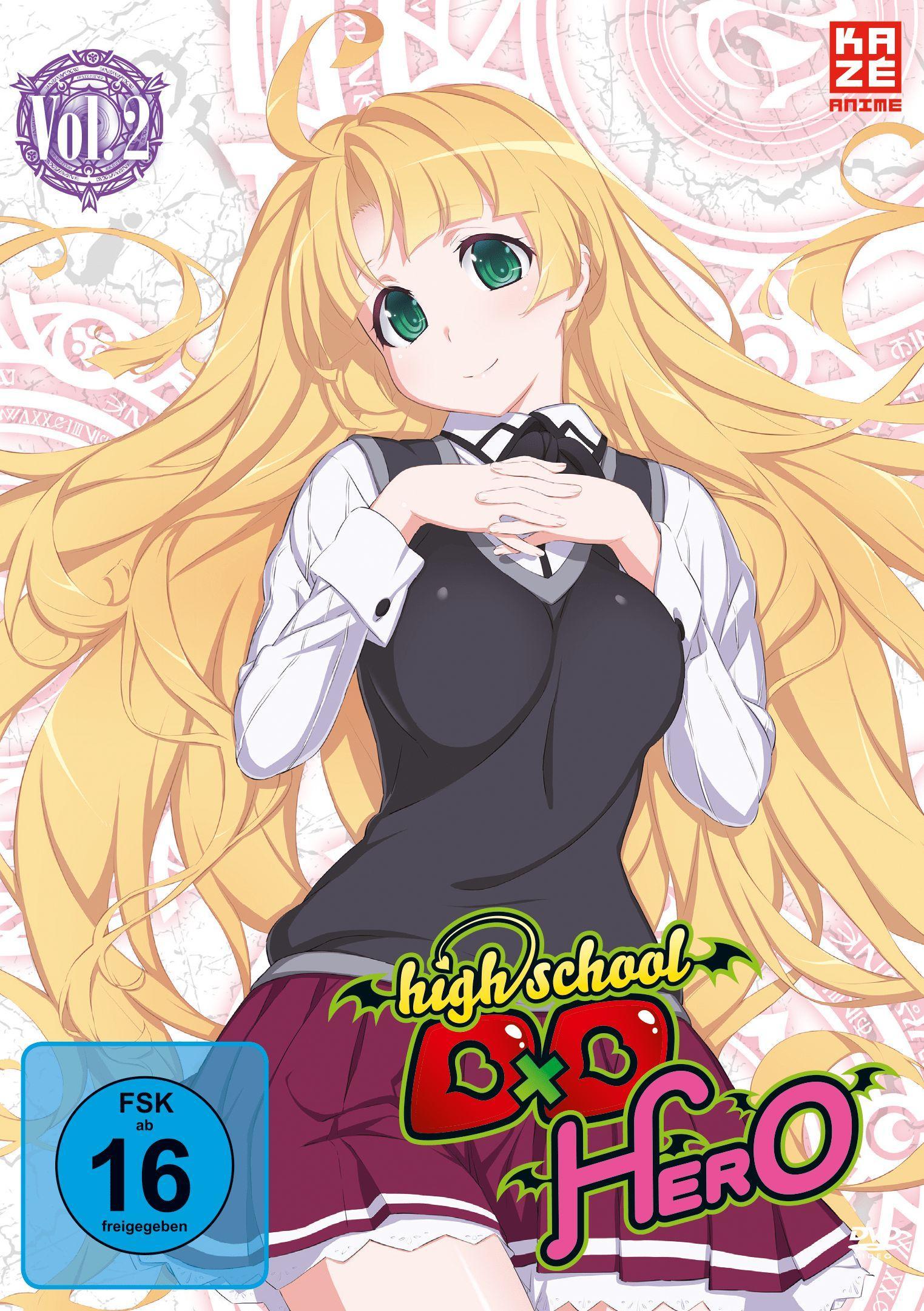 Vorderes Coverbild High School DxD Hero
