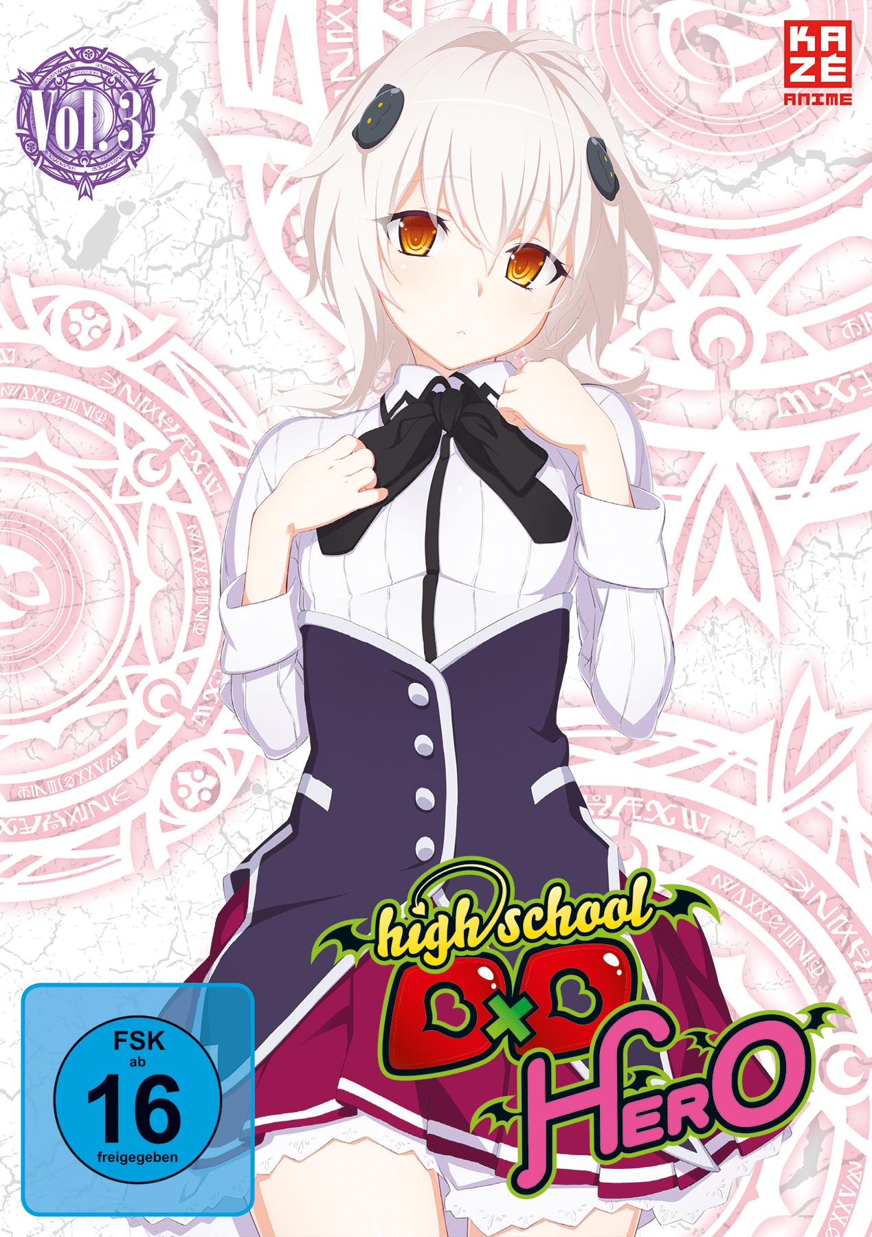 Vorderes Coverbild High School DxD Hero