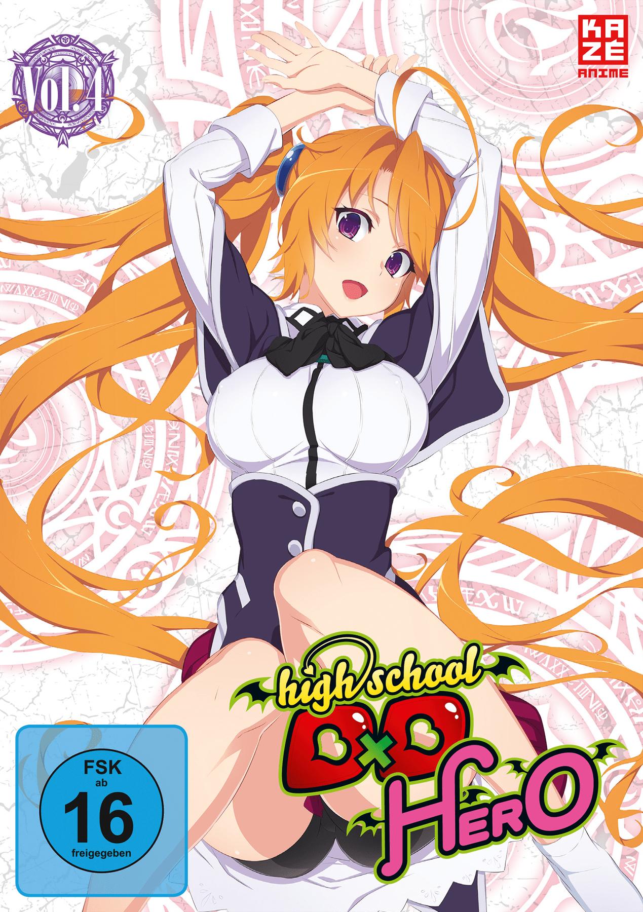 Vorderes Coverbild High School DxD Hero