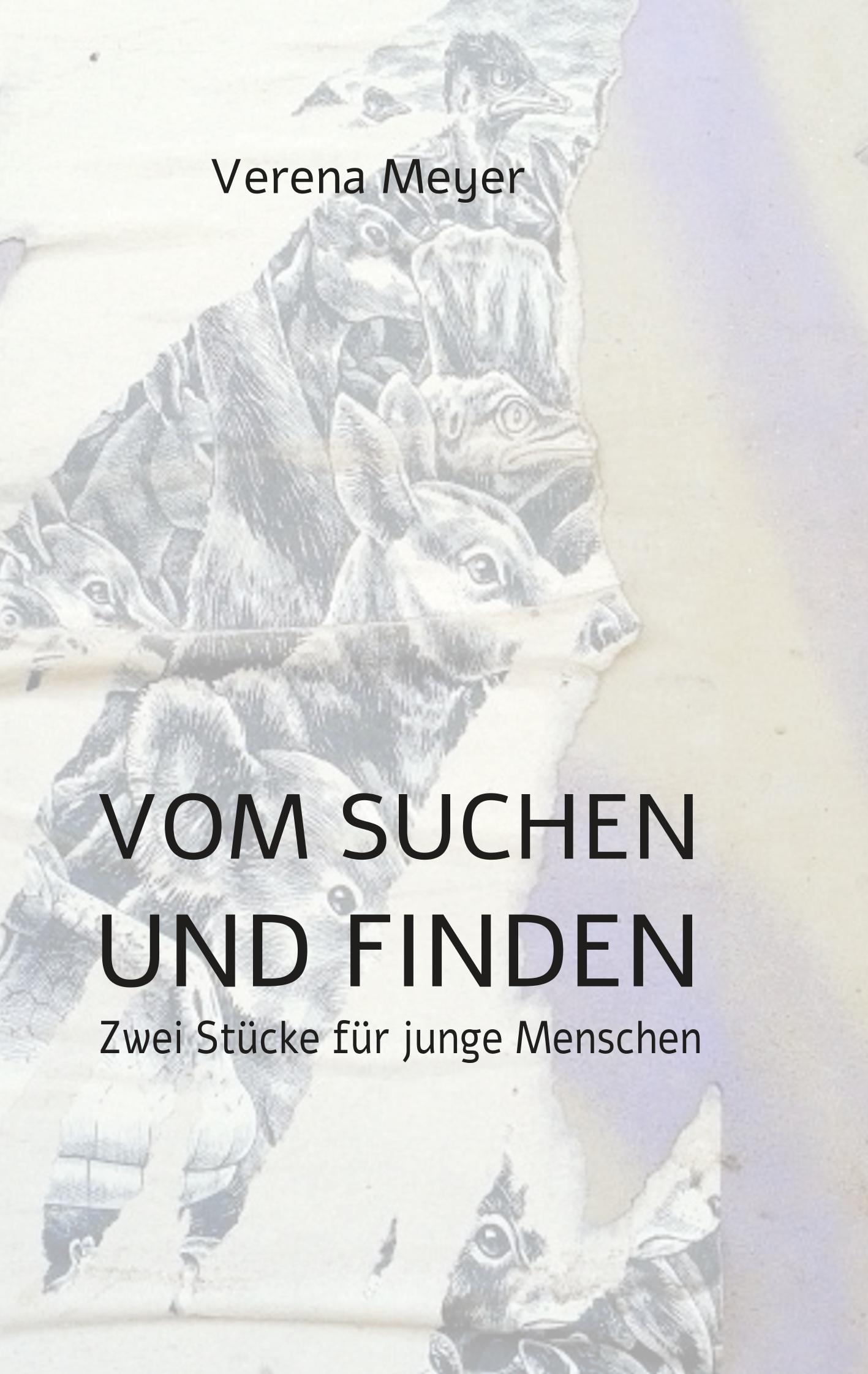 Vorderes Coverbild Vom Suchen und Finden