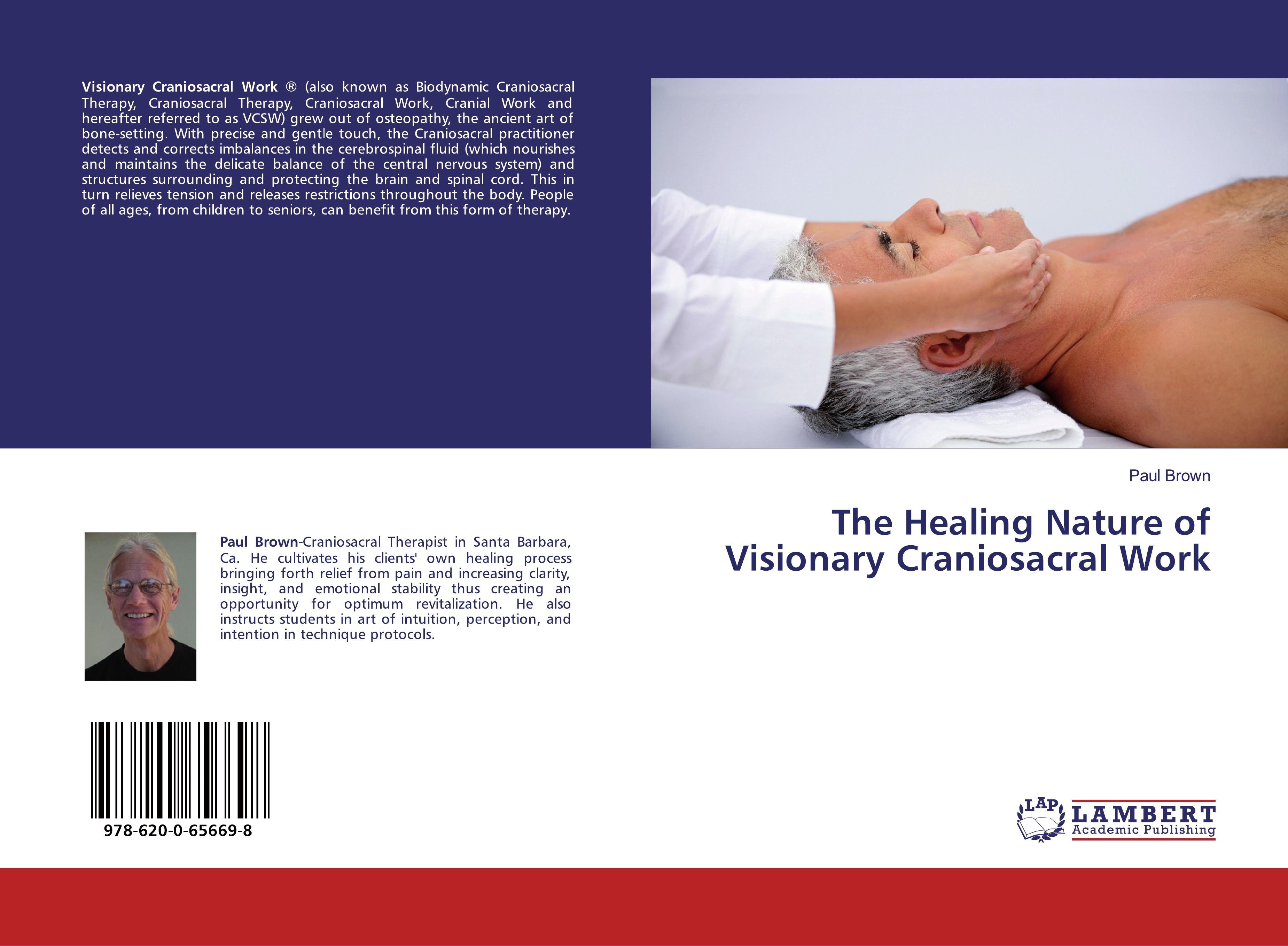 Vorderes Coverbild The Healing Nature of Visionary Craniosacral Work