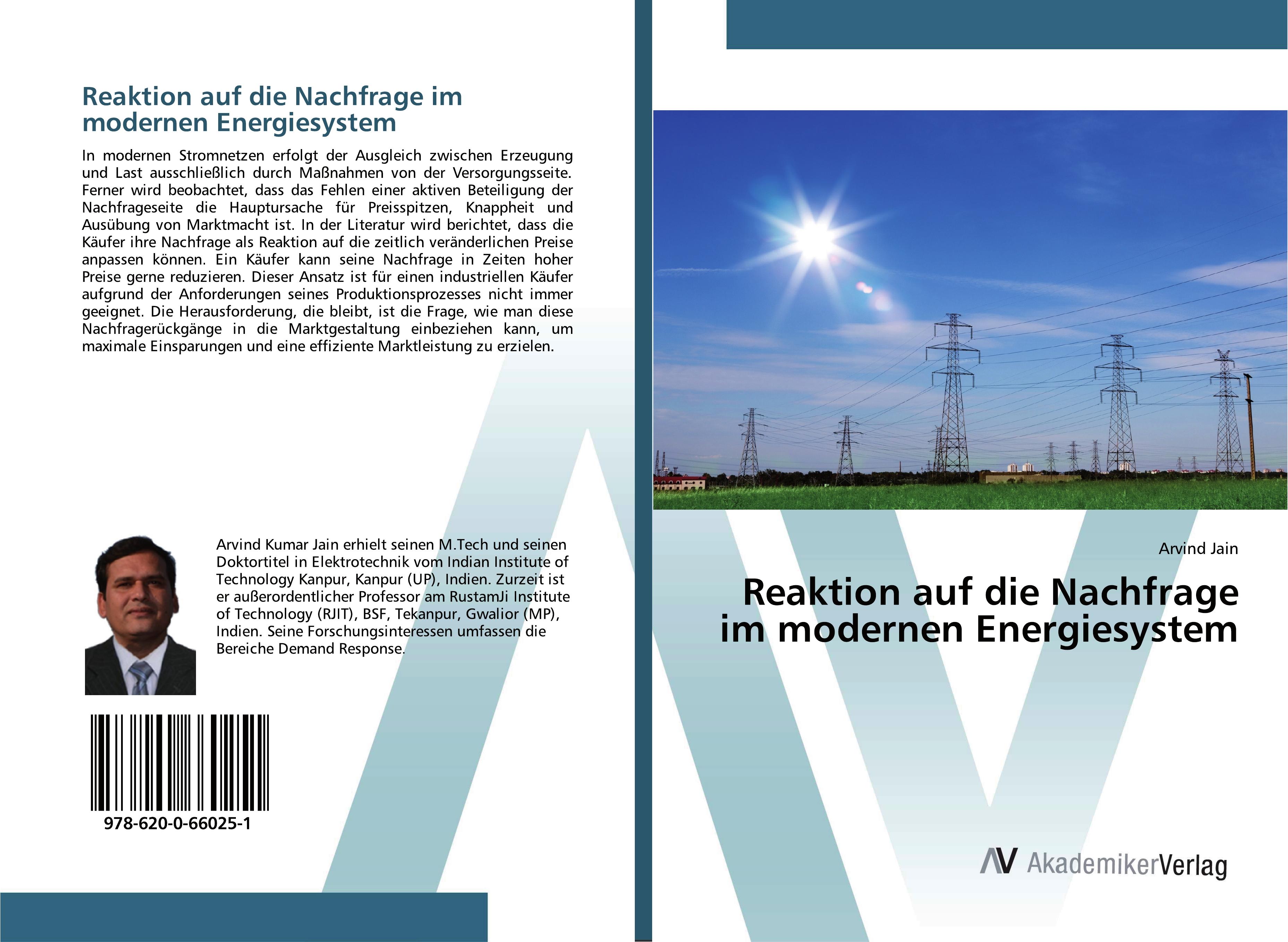 Vorderes Coverbild Reaktion auf die Nachfrage im modernen Energiesystem