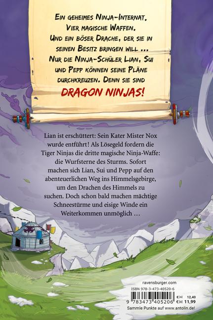 Beispielinhalt (Bild) Dragon Ninjas, Band 3: Der Drache des Himmels