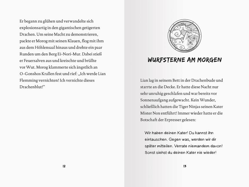 Beispielinhalt (Bild) Dragon Ninjas, Band 3: Der Drache des Himmels