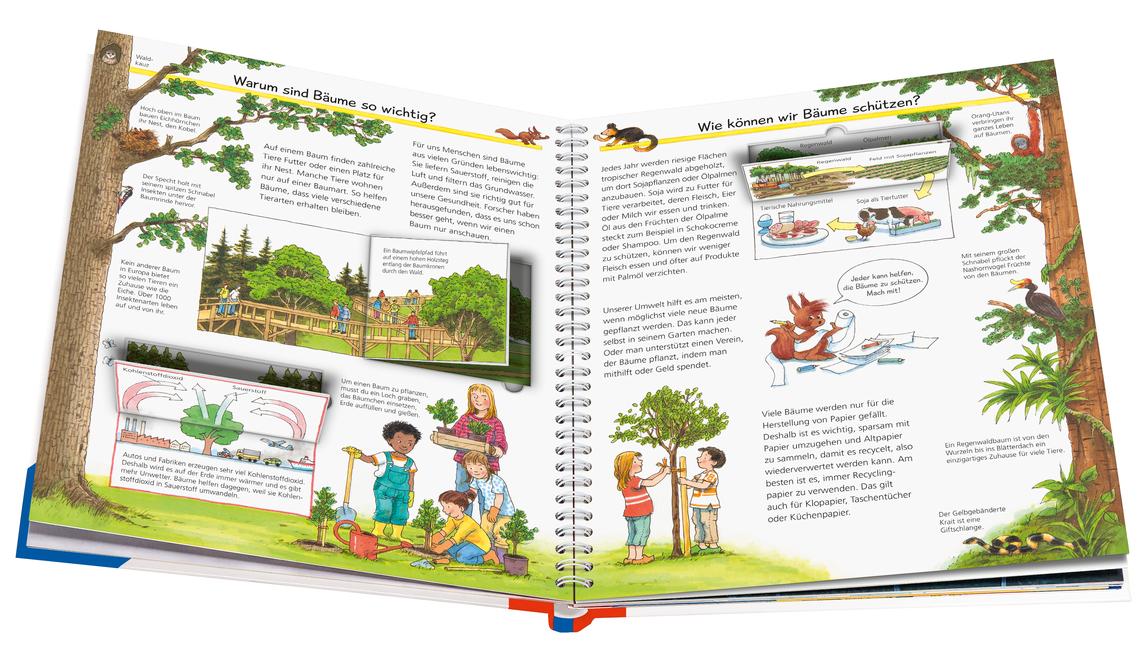 Beispielinhalt (Bild) Wieso? Weshalb? Warum?, Band 52: Alles über Bäume
