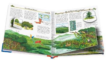 Beispielinhalt (Bild) Wieso? Weshalb? Warum?, Band 52: Alles über Bäume